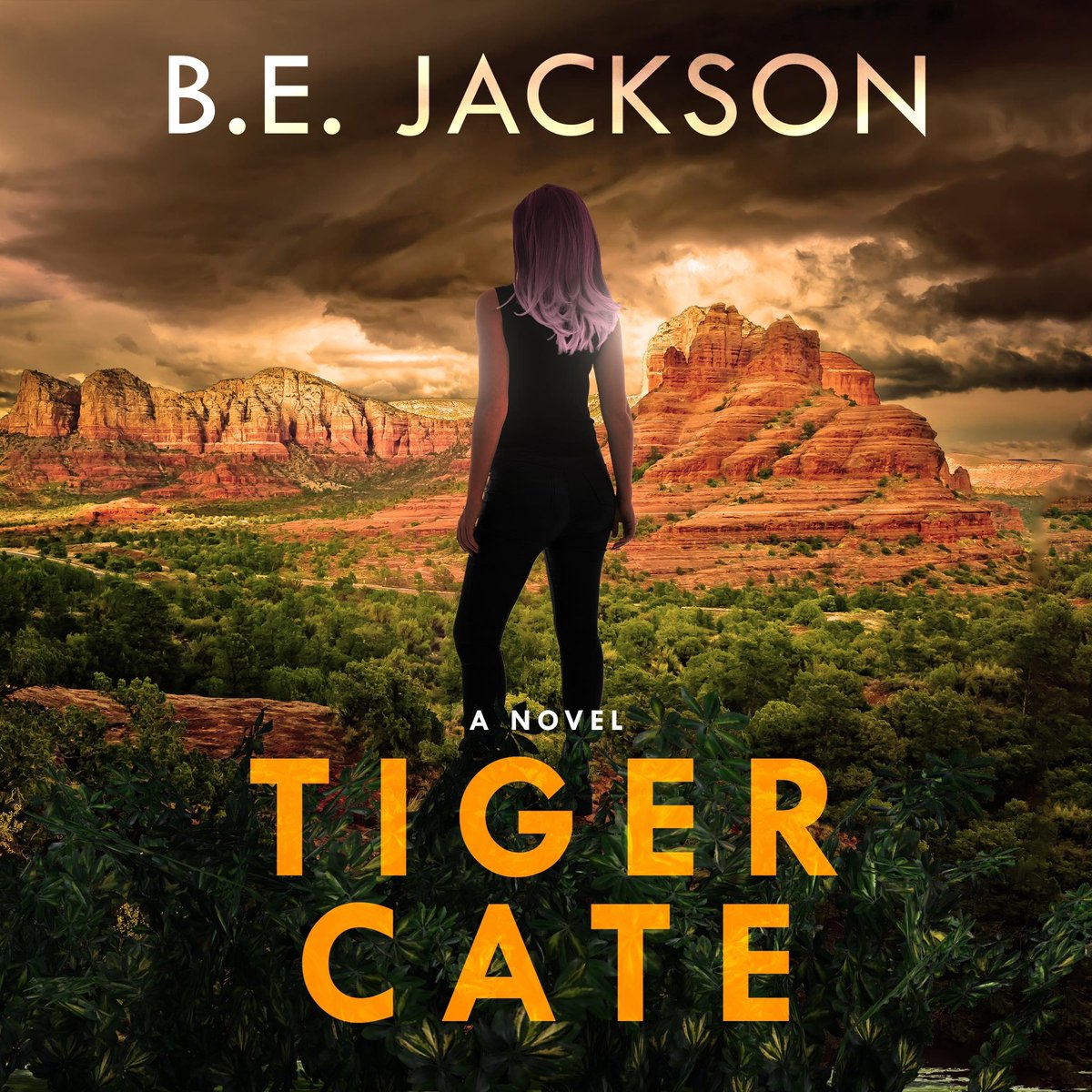 bejacksonauthor's tweet photo. A stolen ranch. A missing sister. And secrets no one is ready to face. Cate Finley's tiger is waking up, and her enemies have no idea what’s coming. Read Tiger Cate, available on Amazon and Audible. #Mystery #Books #DomesticThriller https://t.co/mBEK9smetD