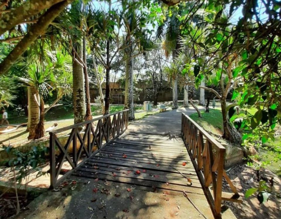 Com diminuição das chuvas, Campinas deixa estado de alerta e reabre parques nesta sexta buobe.com/com-diminuicao…