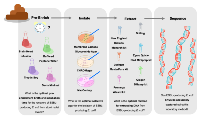 ASM (@asmicrobiology) on Twitter photo In <a href="/JournalSpectrum/">Microbiology Spectrum</a>, researchers present an optimized, rapid and cost-effective approach for the targeted surveillance of ESBL-producing E. coli in human stool. Read the article: asm.social/2dx In <a href="/JournalSpectrum/">Microbiology Spectrum</a>, researchers present an optimized, rapid and cost-effective approach for the targeted surveillance of ESBL-producing E. coli in human stool. Read the article: asm.social/2dx
