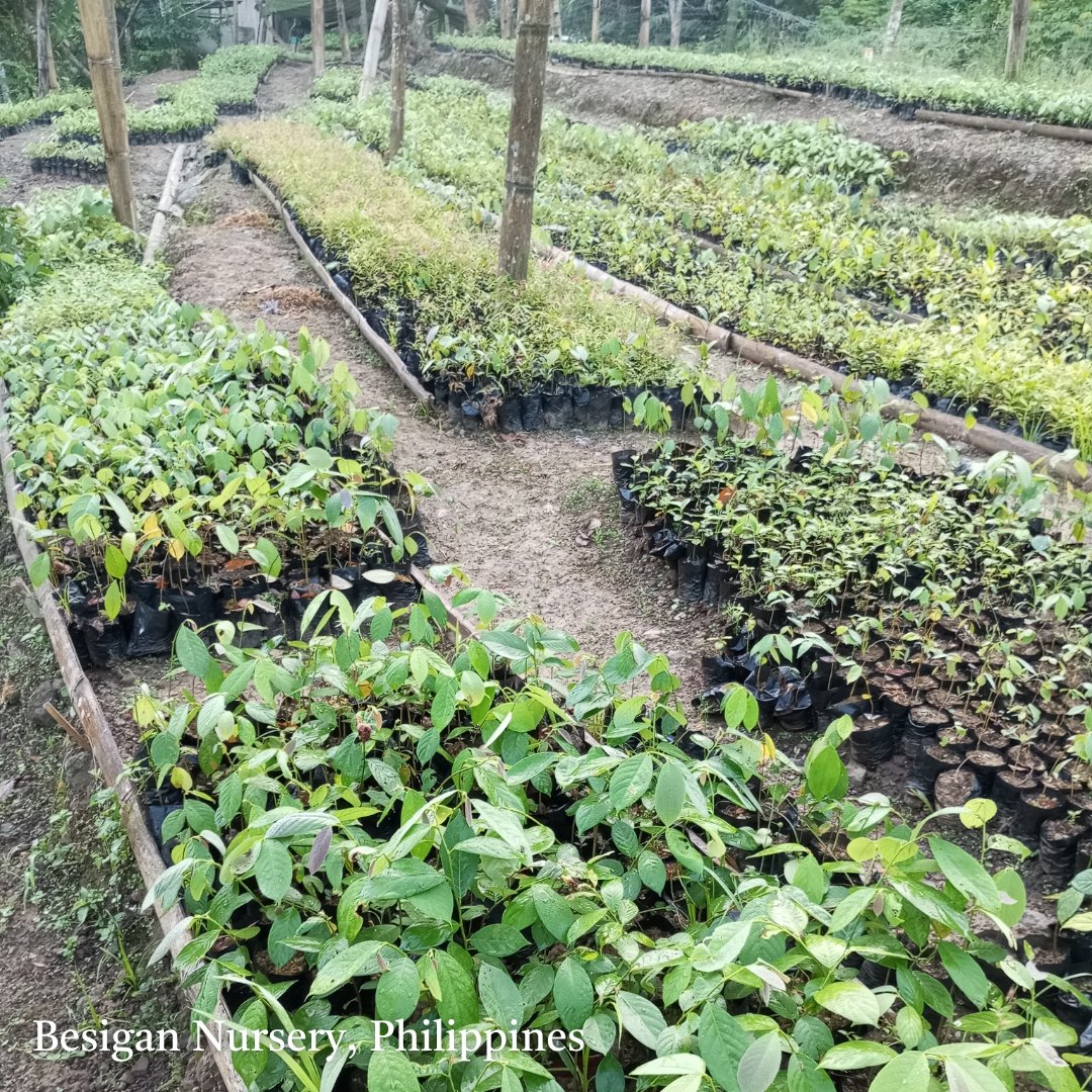 Eden: People+Planet tweet media