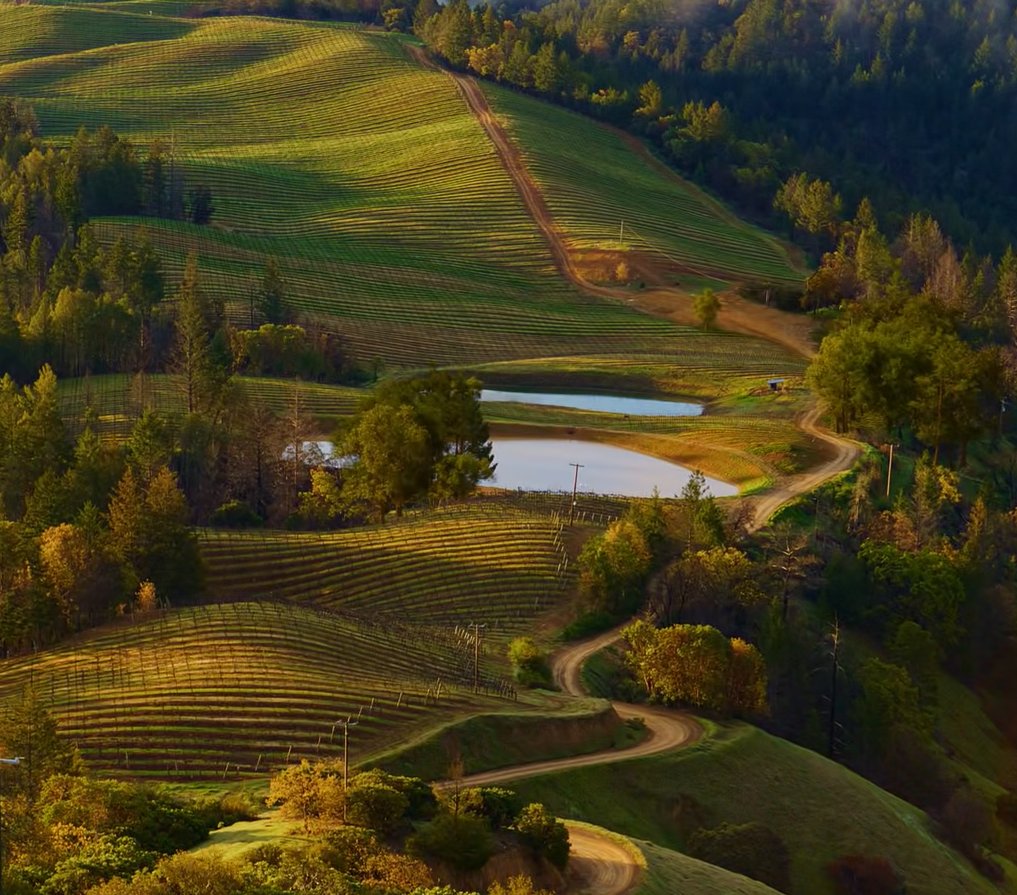 CalTestCal's tweet image. TW4 for Twitter Analytics V2 Multiple Images