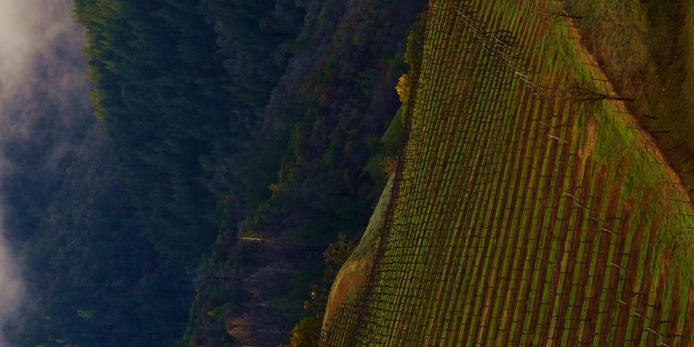 CalTestCal's tweet image. TW4 for Twitter Analytics V2 Multiple Images