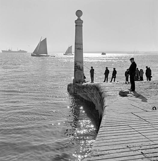 "En la vida tienes muchos sitios, o quizá uno solo, donde ocurrió algo muy lindo; y después están todos los demás sitios".
Alice Munro
📷Artur Pastor