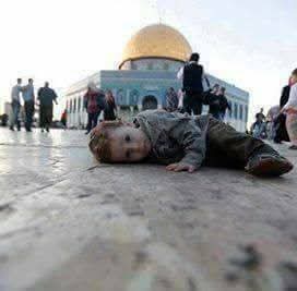 asma_zaoui12978's tweet photo. هنا أسمع نبض قلبي. ..هنا أحس عودة روحي. ..هنا يبدأ تاريخي وتنتهي هويتي. ..هنا دائمون. .إليها قادمون. ...بها متيمون. ..قدسنا ونحن جزائريون 😍😍😍#fenta #💐 💐 💐 💖 💖 https://t.co/9WTB6DfuAm