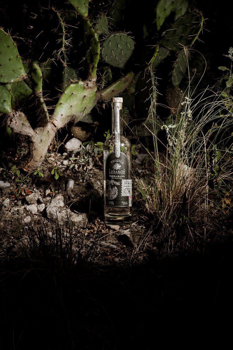 tequilaLebaron's tweet photo. Drink Tequila LeBaron https://t.co/fbytYeBuFR