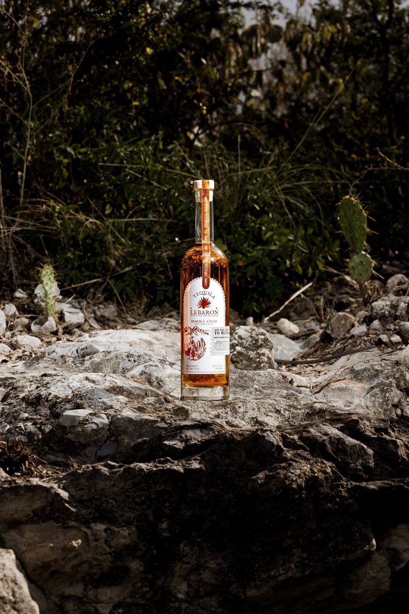 tequilaLebaron's tweet photo. Drink Tequila LeBaron https://t.co/fbytYeBuFR
