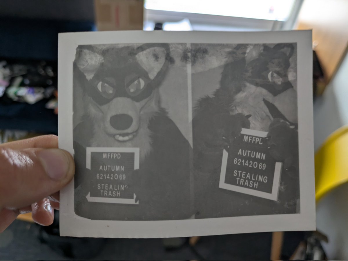 paperumi tweet picture