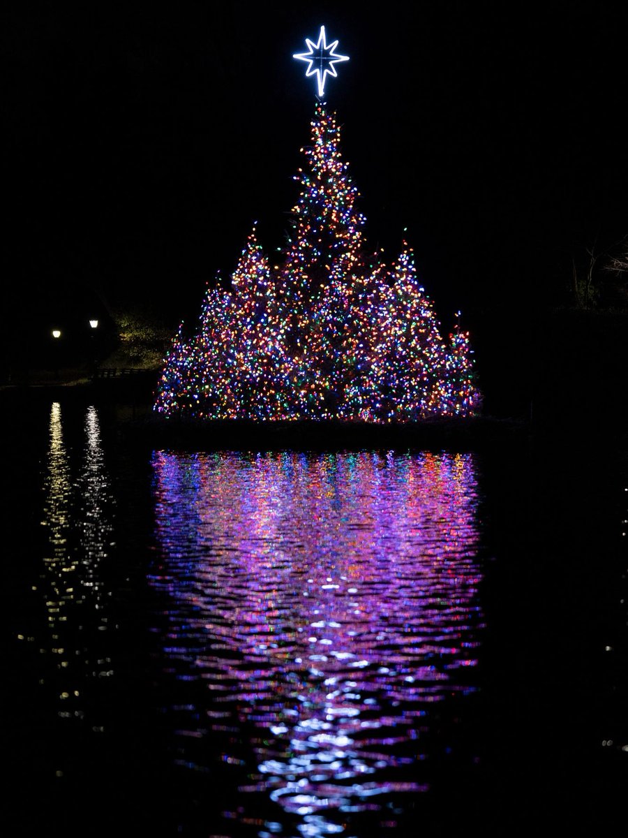 CentralParkNYC's tweet photo. Thank you for joining us at last night's Annual Holiday Lighting! 🌲 If you missed it, the trees will remain lit on the Harlem Meer throughout December. Shout out to the Conservancy team who worked on the flotilla: it features 17 fir trees adorned with 10,000 lights! https://t.co/SwMi3ysEf9