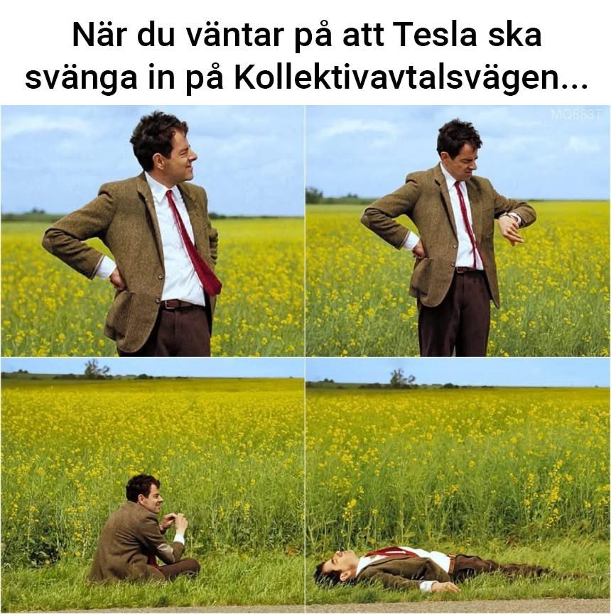 Ola Johannesson (@olajohannesson4) on Twitter photo 