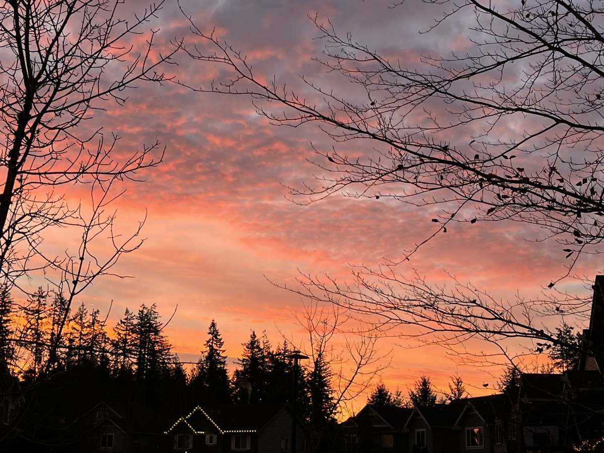 Craigash1219's tweet photo. What a beauty of a start today #PNW. https://t.co/N8PwV2ekG6