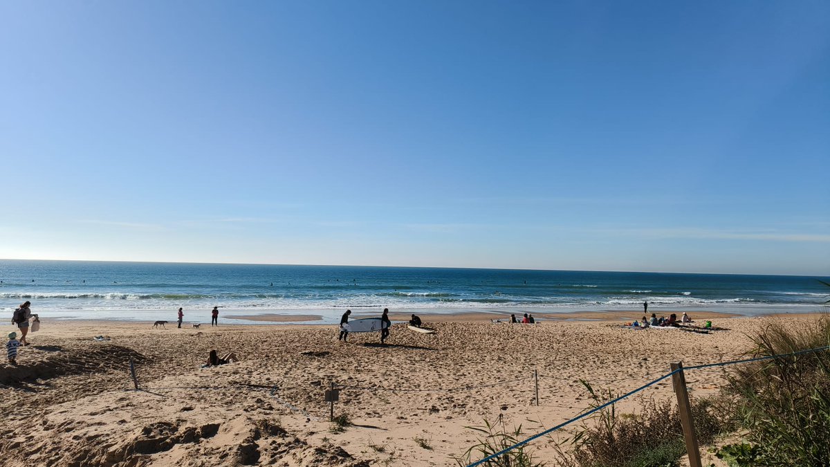 Pere Colomer-Vidal tweet media