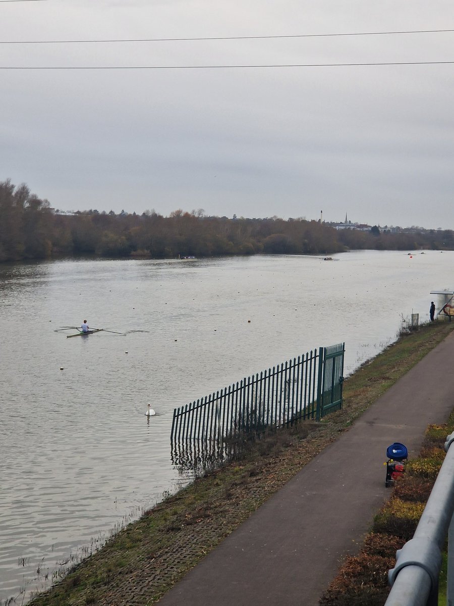 Emma Neupert tweet media