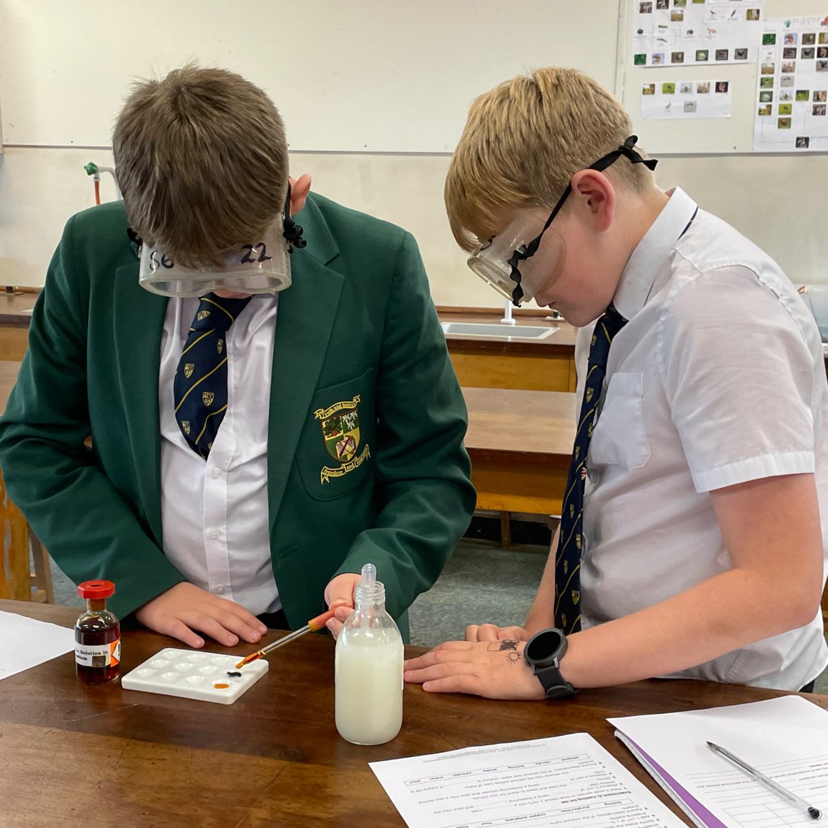 This week some #Year8 students tested food solutions for the presence of #nutrients such as starch, protein and fat. Great care was taken and accurate observations made. <a href="/SibfordOxon/">Sibford School</a> #SibfordScience #KS3 #practicalwork