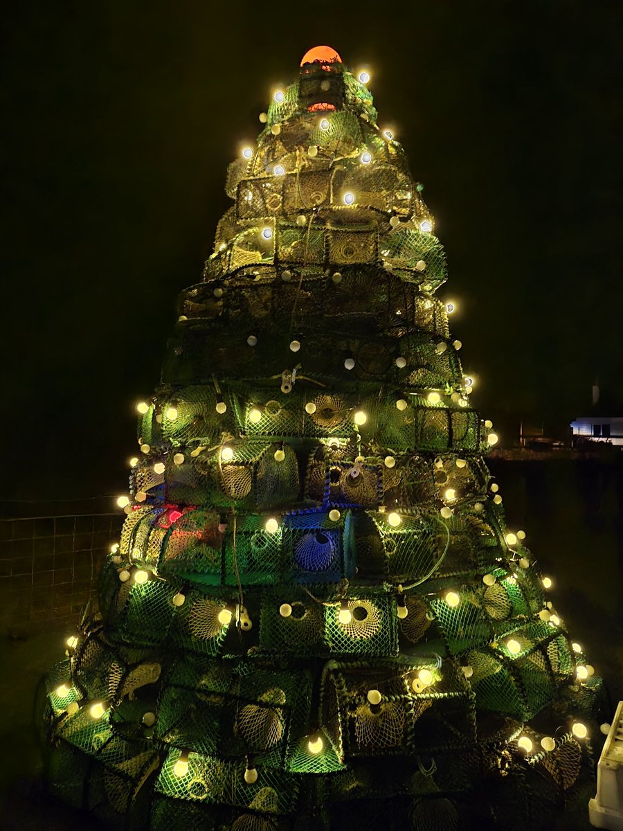 Finlay MacDonald tweet media