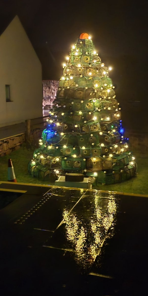 Finlay MacDonald tweet media