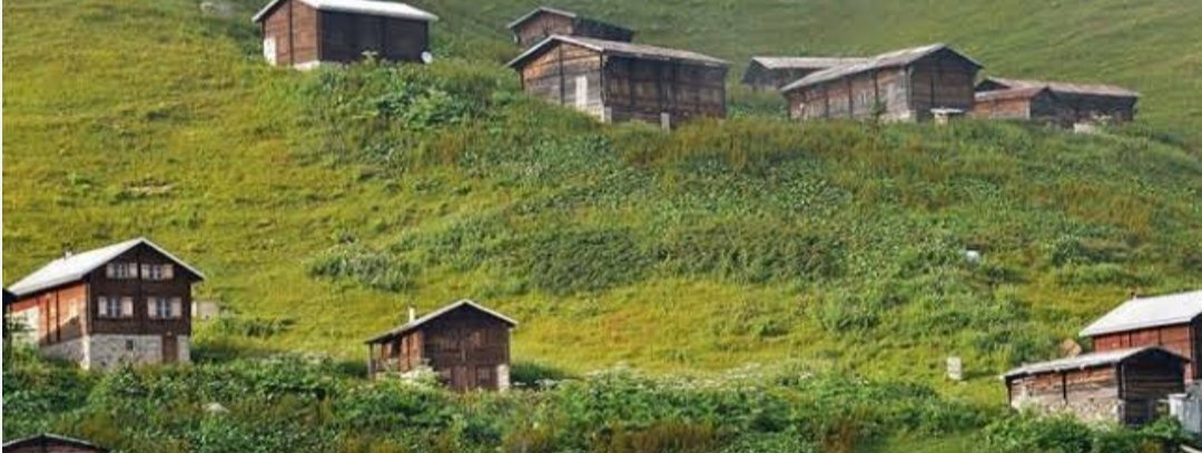 Kanunlarla insanlara ne zulümler yapılıyor! 
"Merhaba Sema Hanım
Ben Nagihan 51 yaşında 5 çocuk annesiyim. Eşim 16 yıl önce vefat etti. Köyde tapulu yerime borç harç barınmak için 2 göz yuva yaptım.

Yıkım kararı çıktı 3 ayrı mahkemede vatan haini gibi yargılandım. 
Ömründe