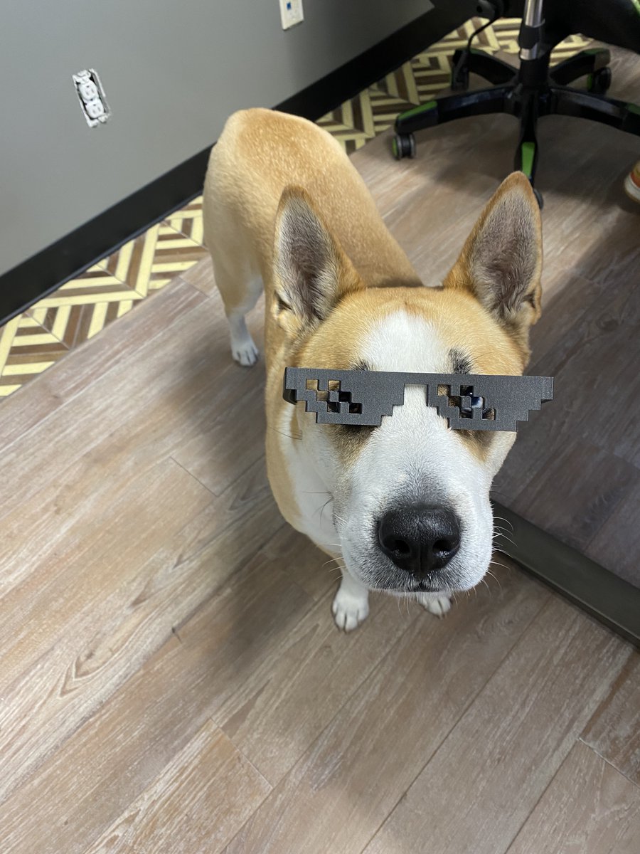 Masha the shop dog is a fan of the new 3D printers!