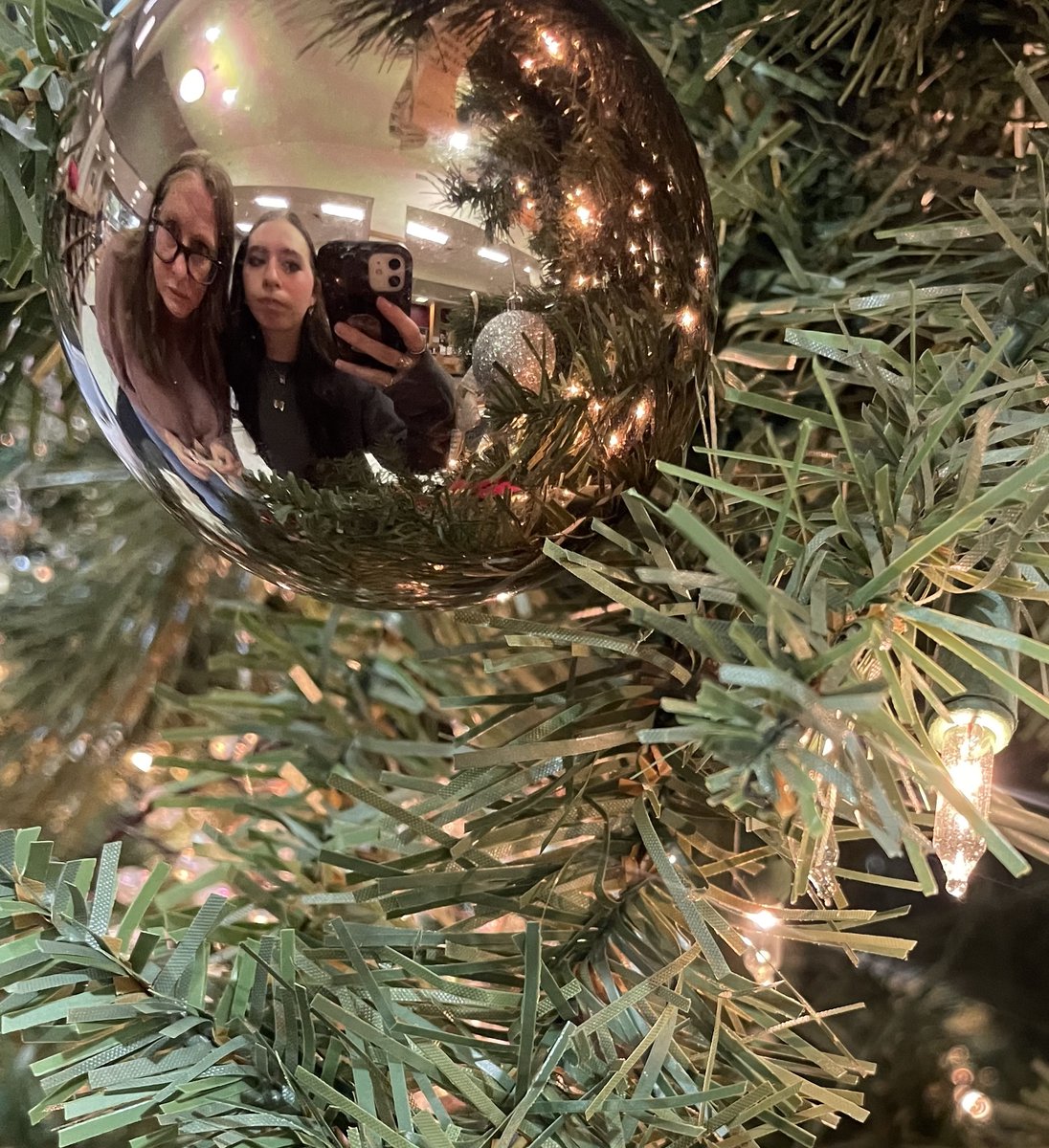 DSHS Library tweet media