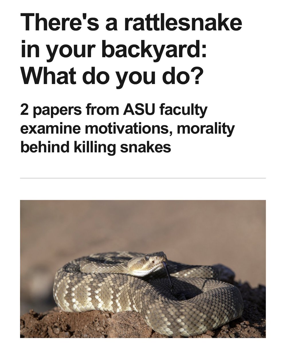 There's a rattlesnake in your backyard—what do you do? 🐍

1️⃣ Call a relocation expert?
2️⃣ Grab a shovel?
3️⃣ Do nothing?

#SGSUP professor Kelli Larson explores how we handle wildlife in urban spaces and the impact on conservation.

Discover more: bit.ly/4iy5TkC