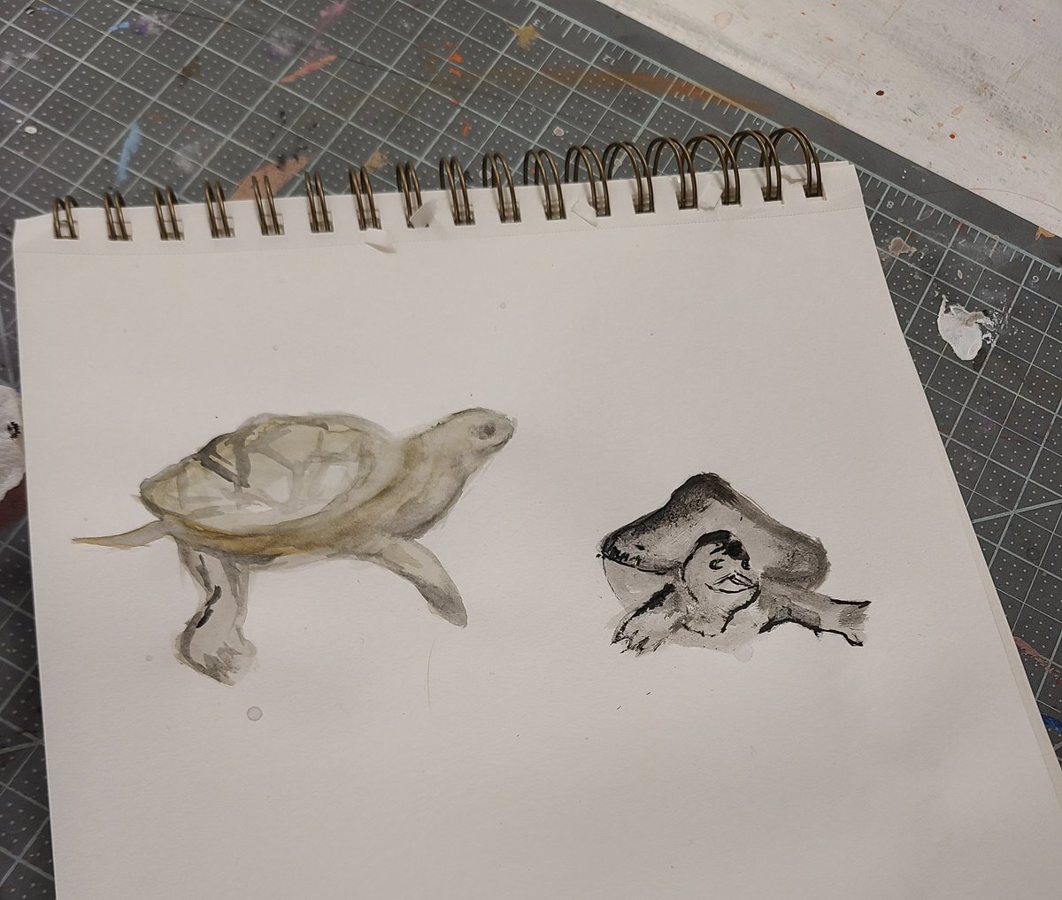 RFH_STEM's tweet image. Art meets Science as the terrapin hatchlings model for Ms. James' art class! @RFH_Regional