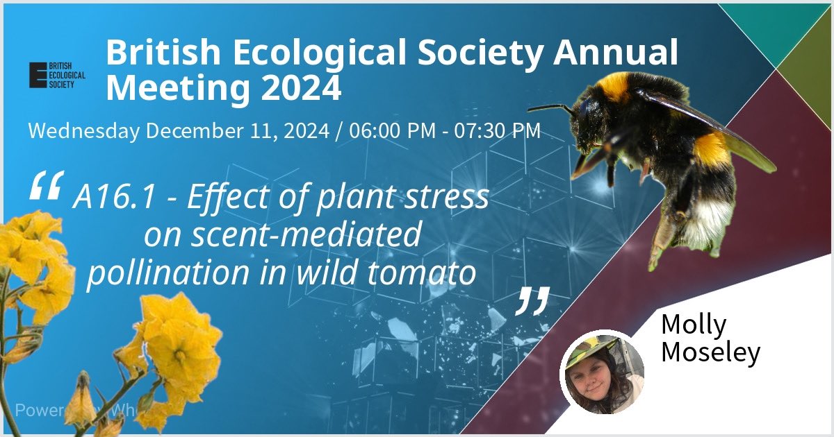 I’ll be presenting at <a href="/BritishEcolSoc/">British Ecological Society</a> annual meeting next week for my first conference of my PhD (and ever!) 
Come talk to me at the first poster session about #bees, wild tomato and floral scent ! I’m presenting 3 projects worth of work! It’s quite a lot.