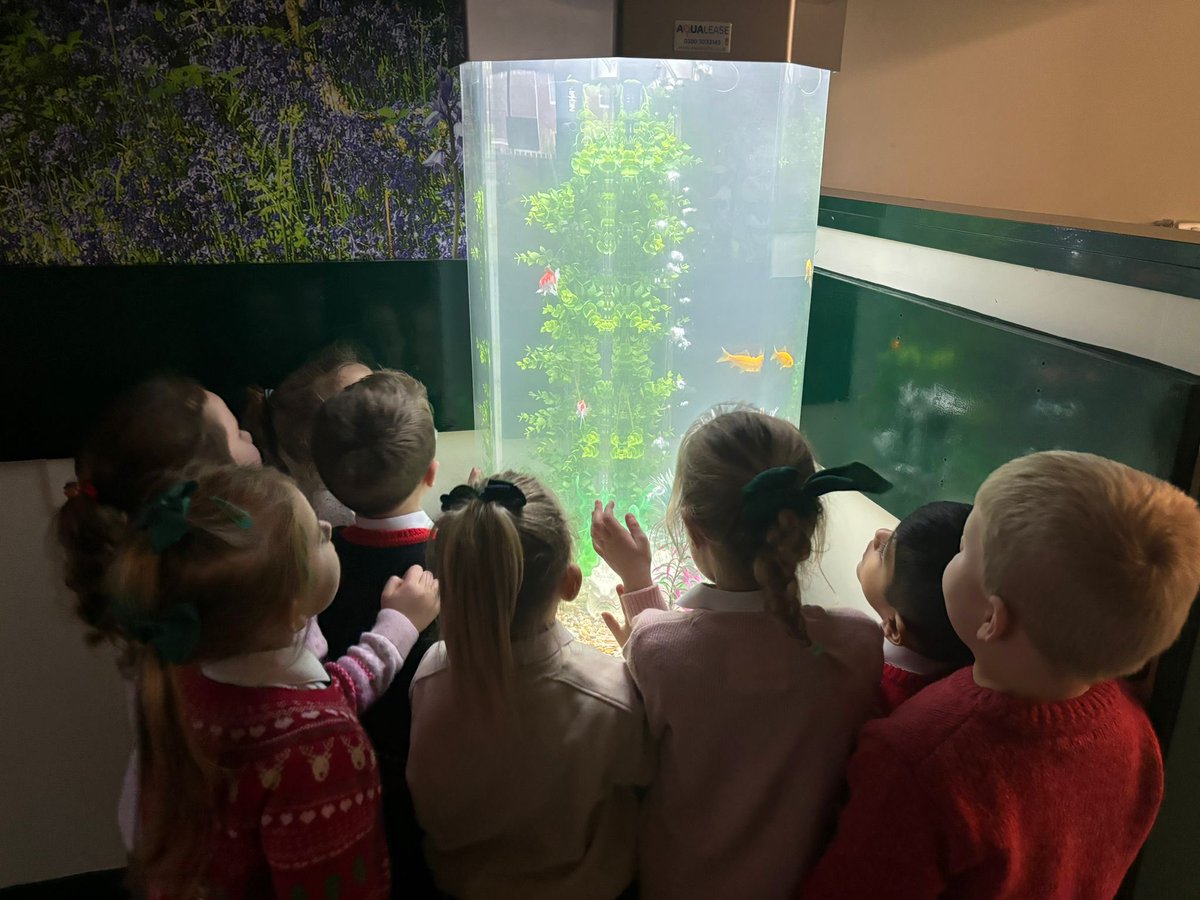So much excitement welcoming our new little fishy friends! <a href="/LuntsHeathSch/">Lunt'sHeathSch</a>
