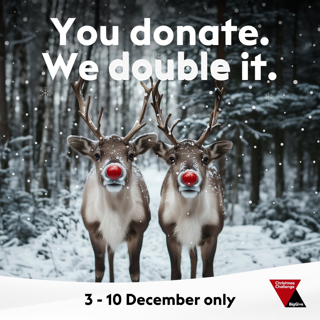 Big Give tweet media