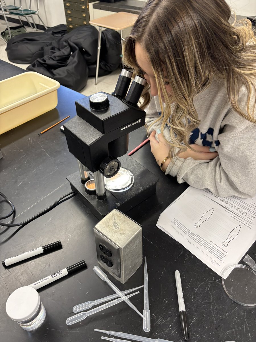 NorthScience's tweet image. Mr.Silvestri&apos;s students are experimenting with planaria to study stems cells and regeneration this week #mtpspride #mtpssci