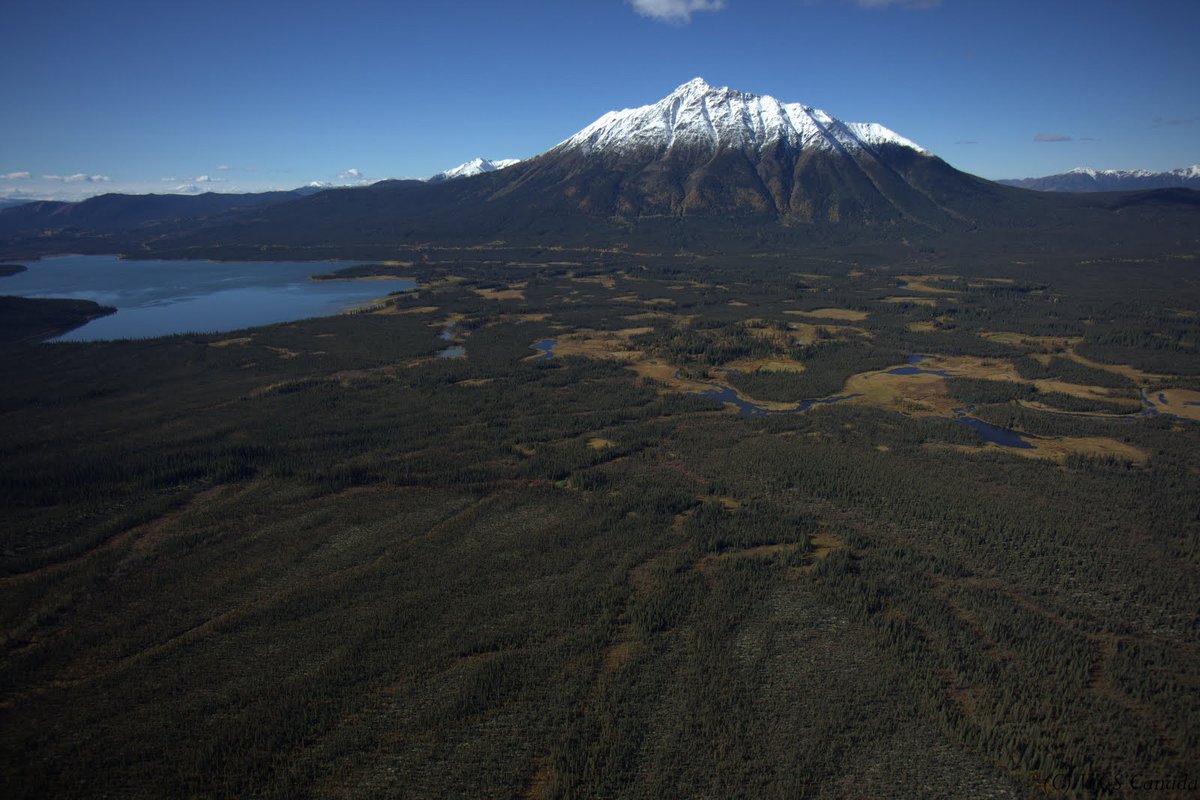 📢 Exciting news from the Yukon! 

The Ross River Dena Council, Yukon Government &amp; the Government of Canada signed a Memorandum of Understanding to explore a proposed Indigenous Protected and Conserved Area covering approx. 35,000km² in east-central Yukon🌲✨

📸 John Meikle
