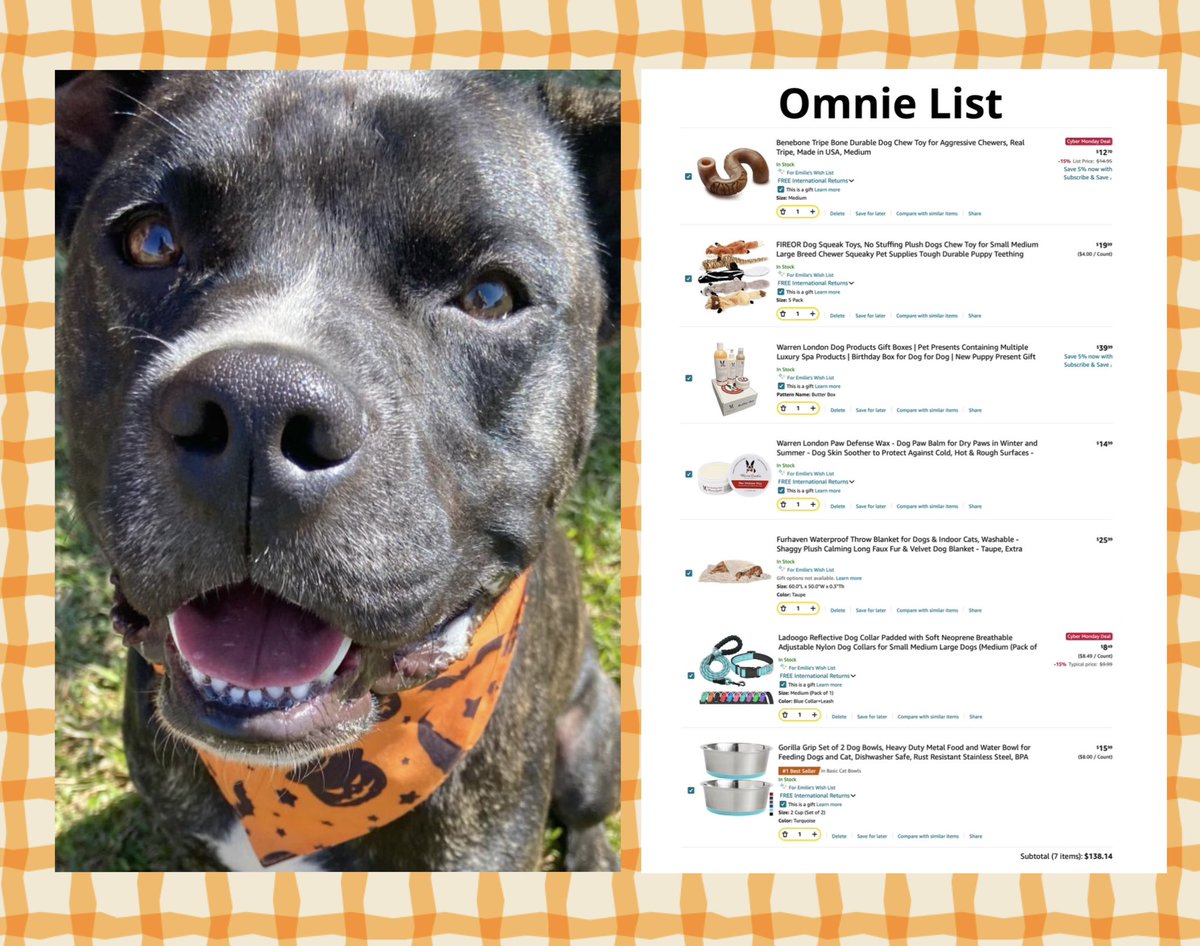 What a week, what a week!🎁
Team Winnie keeps going strong, and today it’s Omni's turn for his Amazon wishlist. Just look at how thrilled he is with the donations from Team Winnie! 🐾🩷

#joeysfriends #amazon #dogrescue #makingachange