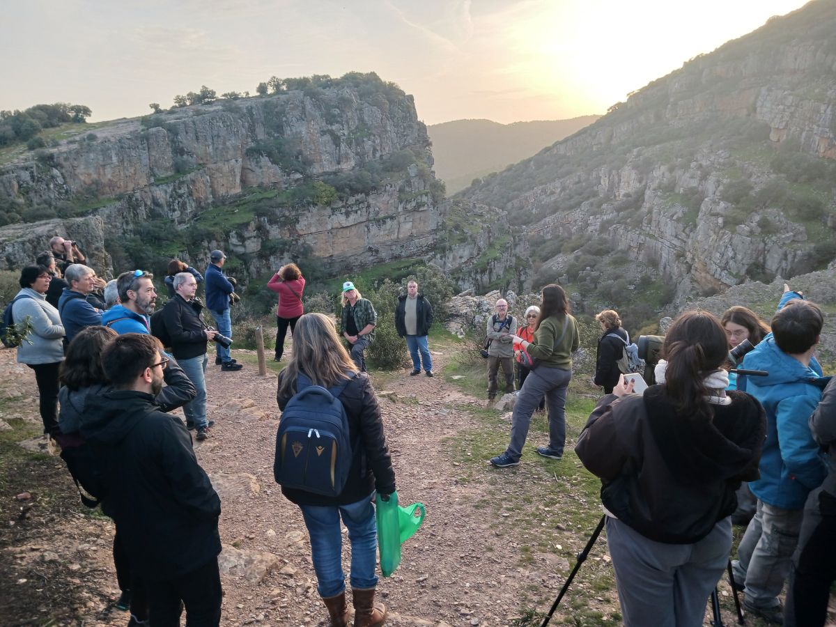 encuentronaturewatch tweet media