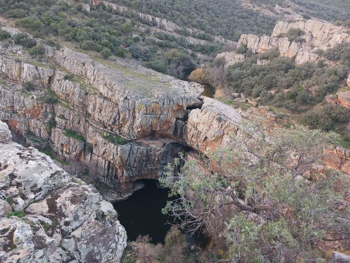 encuentronaturewatch tweet media