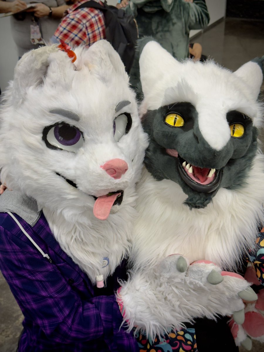 lifninif's tweet photo. En este #FursuitFriday les traigo recuerdos de la #Confuror2024 con @arzyfer 🧀 https://t.co/Asx5yhpg0p