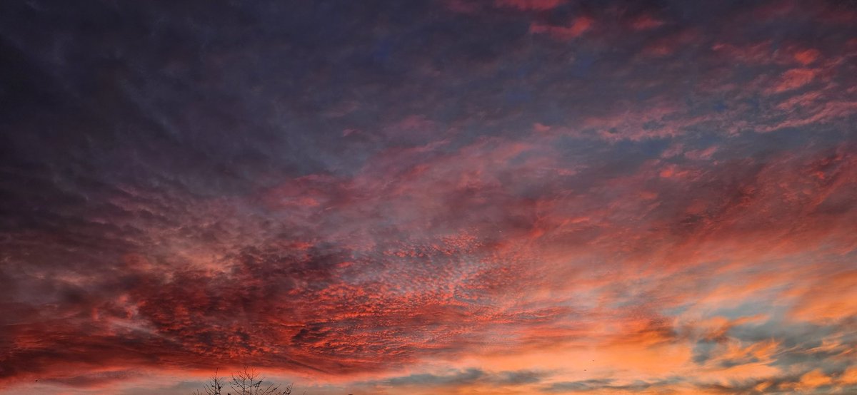 sako_thirty's tweet photo. Another sunrise show this morning. https://t.co/7E35BgUbhO