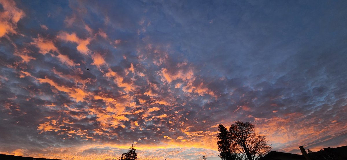 sako_thirty's tweet photo. Another sunrise show this morning. https://t.co/7E35BgUbhO