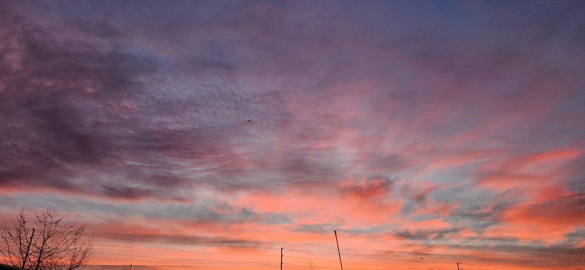 sako_thirty's tweet photo. Another sunrise show this morning. https://t.co/7E35BgUbhO
