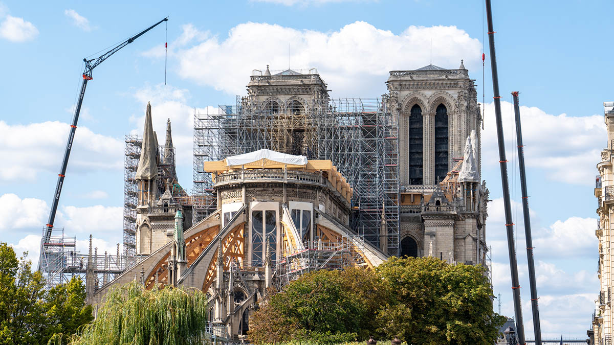 Les chênes français, au cœur de la renaissance de Notre-Dame-de-Paris  🪵🙏 A découvrir ici : agriculture.gouv.fr/les-chenes-fra… <a href="/franceboisforet/">France Bois Forêt</a> <a href="/ONF_Officiel/">Office national des forêts</a>