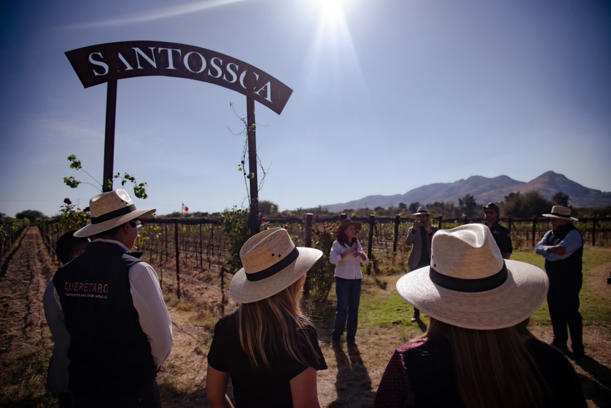 Viva Aguascalientes tweet media