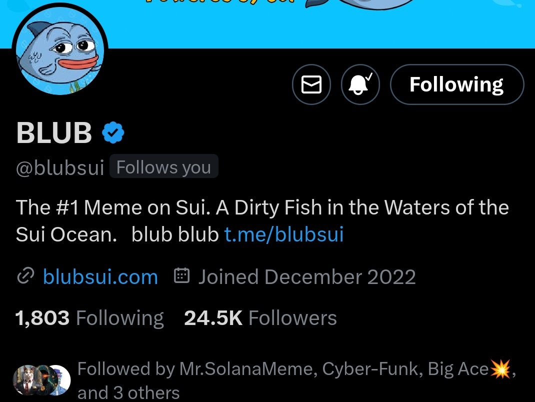 Thanks for your follow <a href="/blubsui/">BLUB</a>  I appreciate 🙏