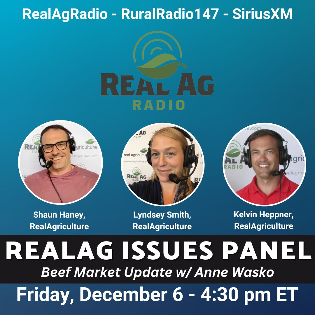 RealAgriculture (@realagriculture) on Twitter photo Tune in to #RealAgRadio at 430 E on <a href="/RuralRadio147/">RURALRADIO147</a>! Hear <a href="/AnneWasko/">Anne Wasko</a> w/ the Gateway Livestock Exchange for the #BeefMarketUpdate. Host <a href="/ShaunHaney/">Shaun Haney</a> is then joined by <a href="/RealLoudLyndsey/">Lyndsey Smith ๐๐</a> and <a href="/KelvinHeppner/">Kelvin Heppner</a> to discuss the news and happenings of the week in the #RealAgIssuesPanel! #cdnag Tune in to #RealAgRadio at 430 E on <a href="/RuralRadio147/">RURALRADIO147</a>! Hear <a href="/AnneWasko/">Anne Wasko</a> w/ the Gateway Livestock Exchange for the #BeefMarketUpdate. Host <a href="/ShaunHaney/">Shaun Haney</a> is then joined by <a href="/RealLoudLyndsey/">Lyndsey Smith ๐๐</a> and <a href="/KelvinHeppner/">Kelvin Heppner</a> to discuss the news and happenings of the week in the #RealAgIssuesPanel! #cdnag