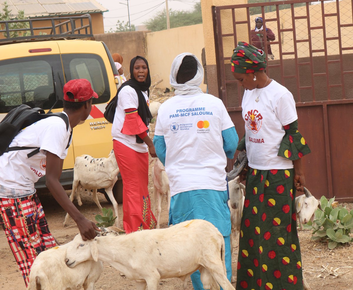 Cncr_Senegal's tweet image. #Matam: le #Cncr et ses partenaires renforcent la résilience de dizaines de jeunes

Des kids de production #agricole mis gratuitement à la disposition de jeunes entrepreneurs agricoles. Et ce, grâce au Programme PAM-MCF dédié à la promotion de l'emploi des jeunes ruraux.
#SALOUMA