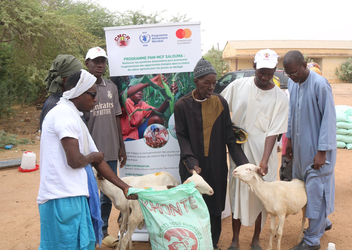 Cncr_Senegal's tweet image. #Matam: le #Cncr et ses partenaires renforcent la résilience de dizaines de jeunes

Des kids de production #agricole mis gratuitement à la disposition de jeunes entrepreneurs agricoles. Et ce, grâce au Programme PAM-MCF dédié à la promotion de l'emploi des jeunes ruraux.
#SALOUMA