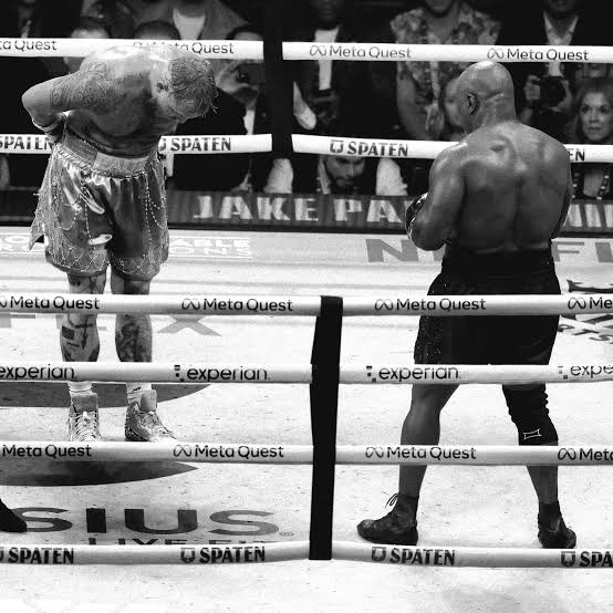 Tanerridge tweet media