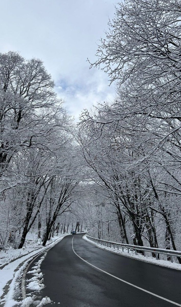 rivettting's tweet photo. What song are you playing from #rosiebyROSÉ as you travel down this path? https://t.co/3s9z81R7ya