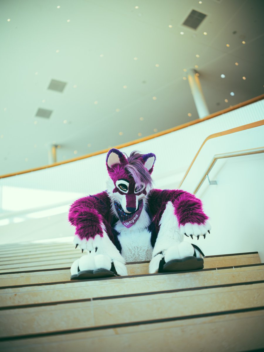 Shay ✨ tweet media