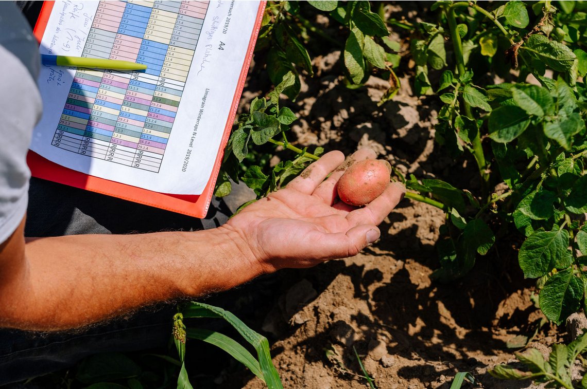 Institut für Agrar- und Stadtökologische Projekte tweet media