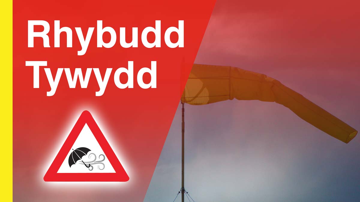 🌬️Gyda rhybuddion tywydd eithafol ar gyfer 'StormDarragh nodwch:
🌳I roi gwybod am goed wedi disgyn/rhwystrau, cysylltwch â rhif argyfwng tu allan i oriau eich awdurdod lleol. Os oes perygl i fywyd cysylltwch â 999
❎Peidiwch Cysylltu â ni ar gyfryngau cymdeithasol mewn argyfwng