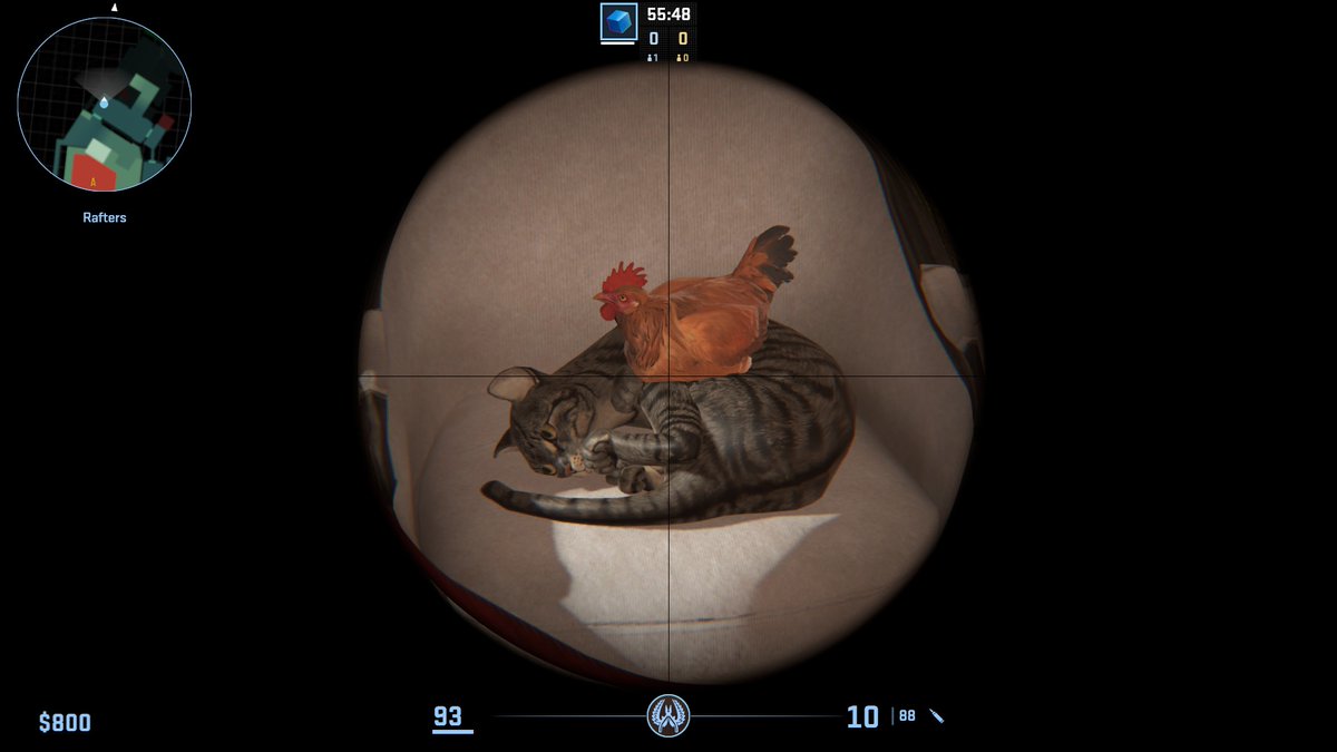 They become friends in the end
All's well that ends well
🐓❤️🐈