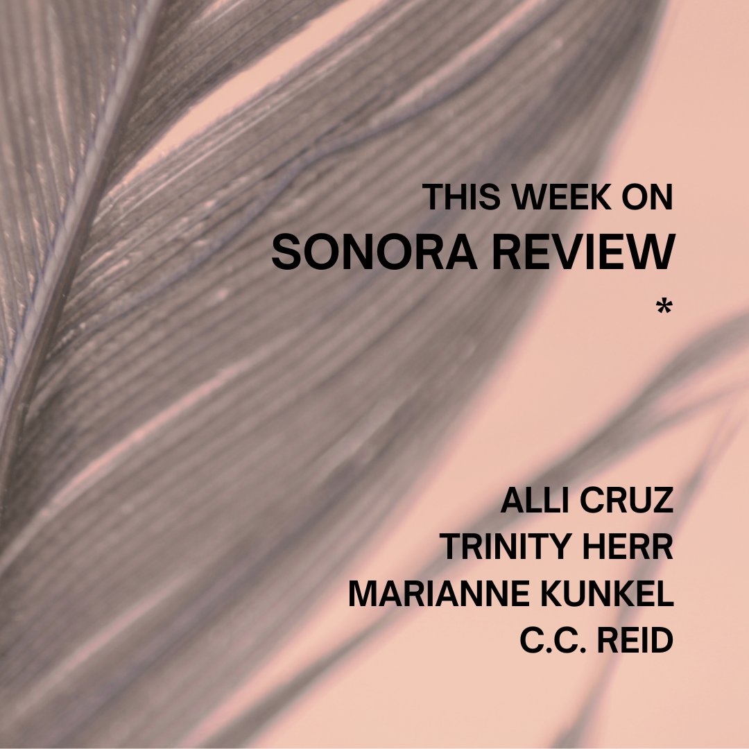 Sonora Review tweet media
