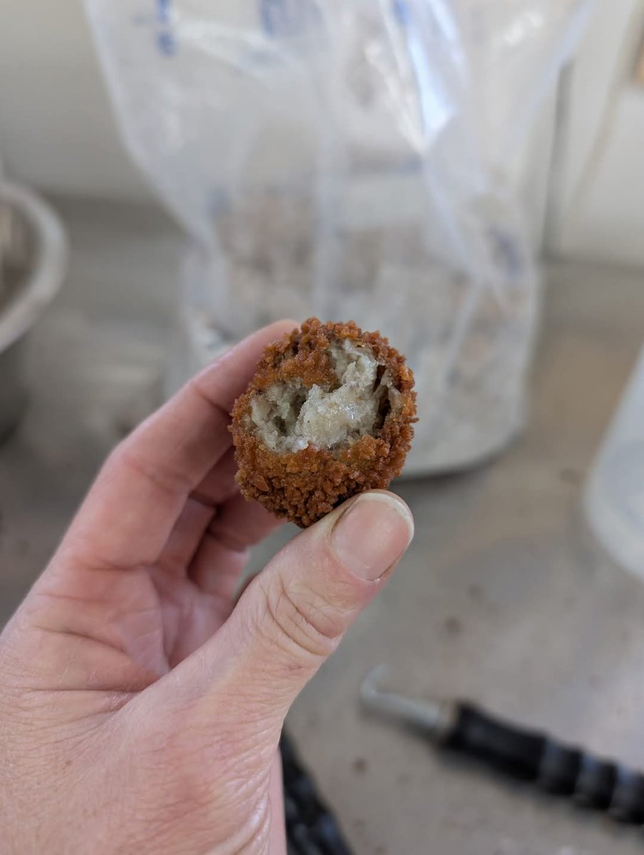 DakAkkers tweet media